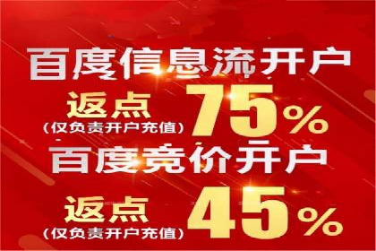 案例分析：信息流平台在电商领域的应用
